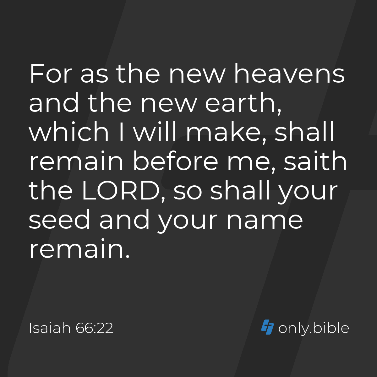 世界で唯一無二❣️ 1846年と記されたBible 天金加工 Isaiah 66:22 / King James Version (with Apocrypha) | Bible