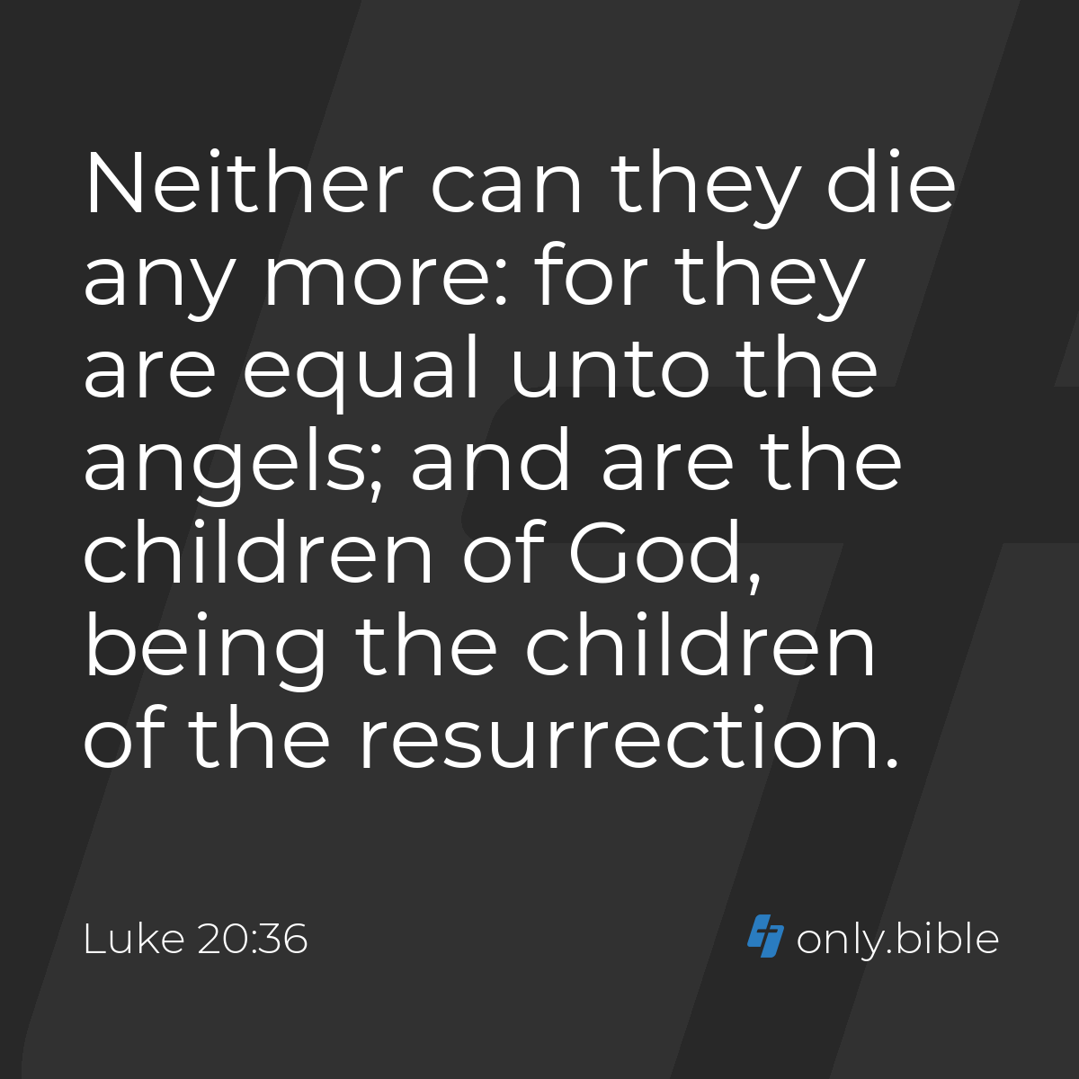 Luke 20:36 / King James Version (with Apocrypha) | Bible Online