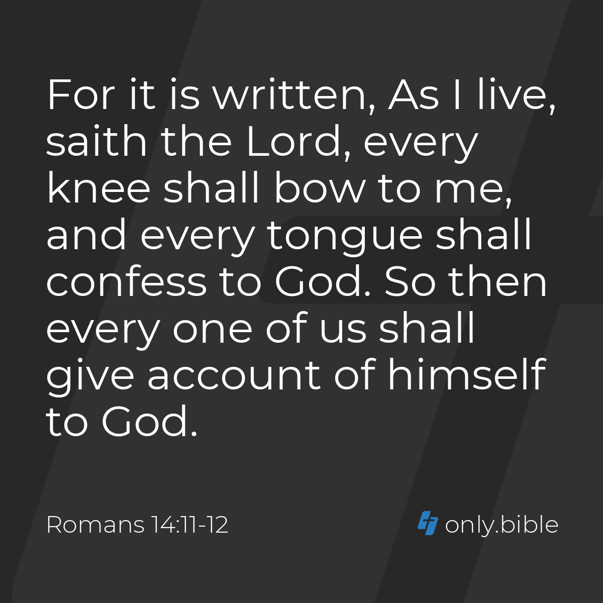 【bible】14点おまとめ fpp,large,lustre,wall_texture,