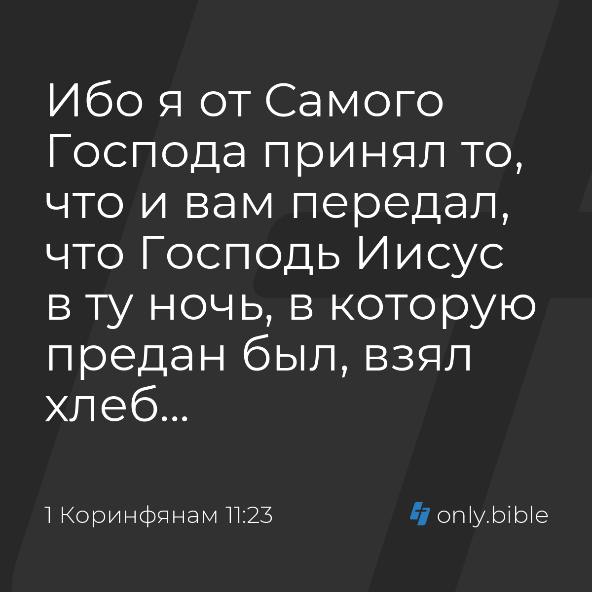 1 Коринфянам 11:23 / Русский синодальный перевод (Юбилейное издание) |  Библия Онлайн