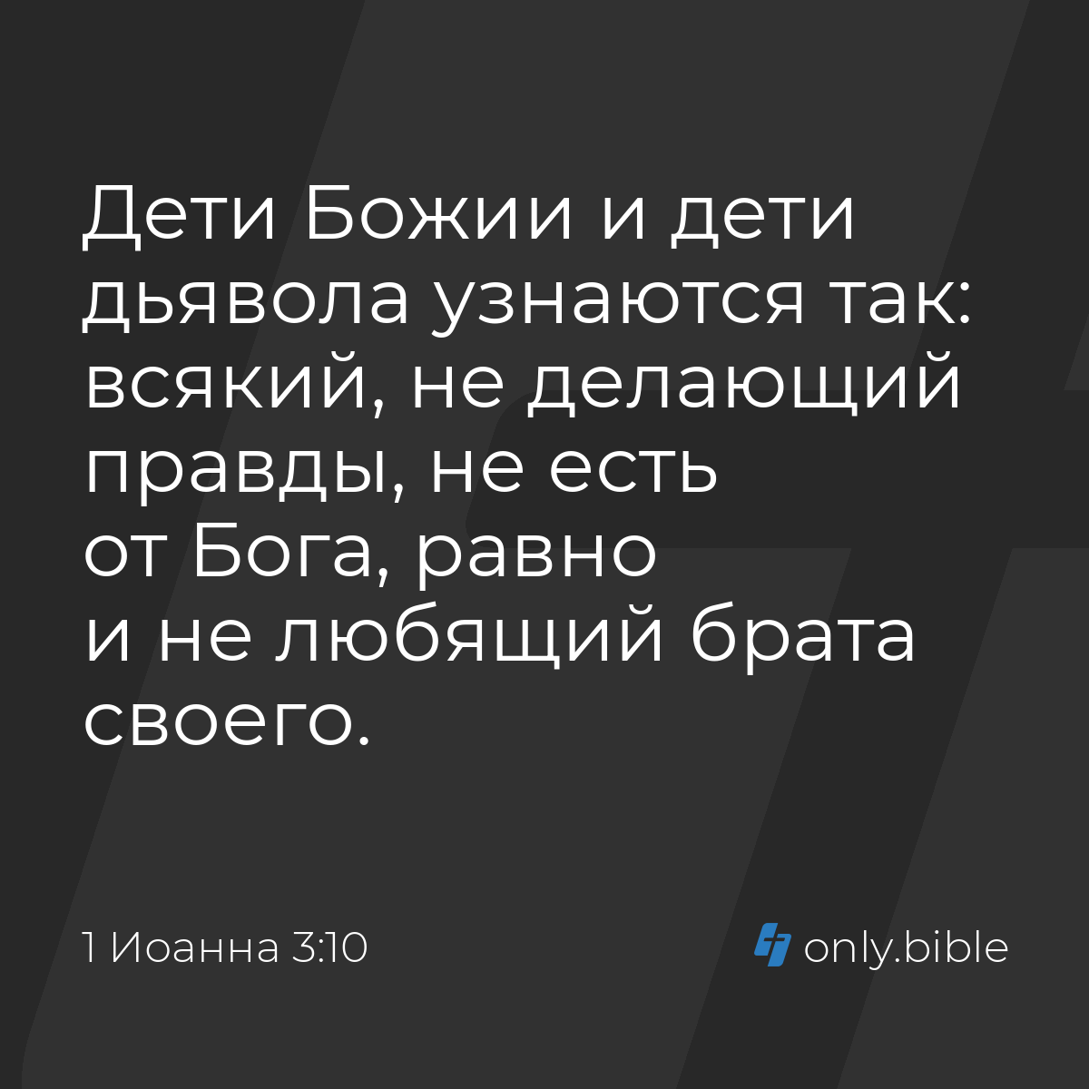 1 Иоанна 3:10 / Русский синодальный перевод (Юбилейное издание) | Библия  Онлайн