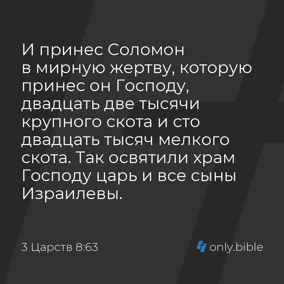 3 Царств 8:63 / Русский синодальный перевод (Юбилейное издание) | Библия  Онлайн