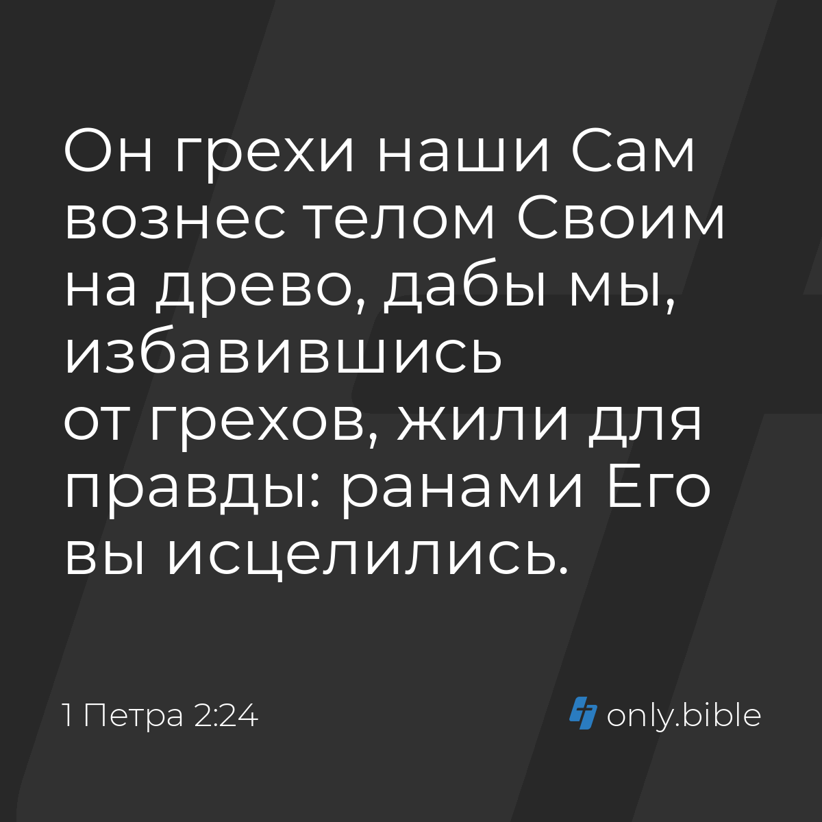 1 Петра 2:24 / Русский синодальный перевод (Юбилейное издание) | Библия  Онлайн