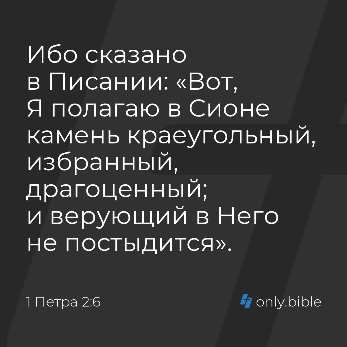 1 Петра 2:6 / Русский синодальный перевод (Юбилейное издание) | Библия  Онлайн