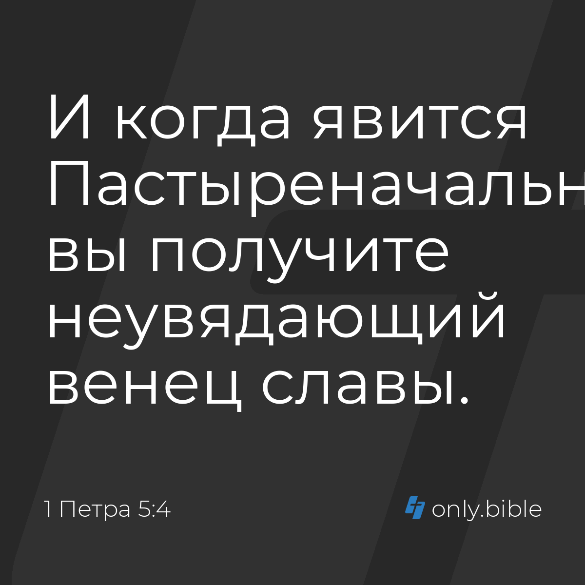 Толкования на 1 Пет. 5:6