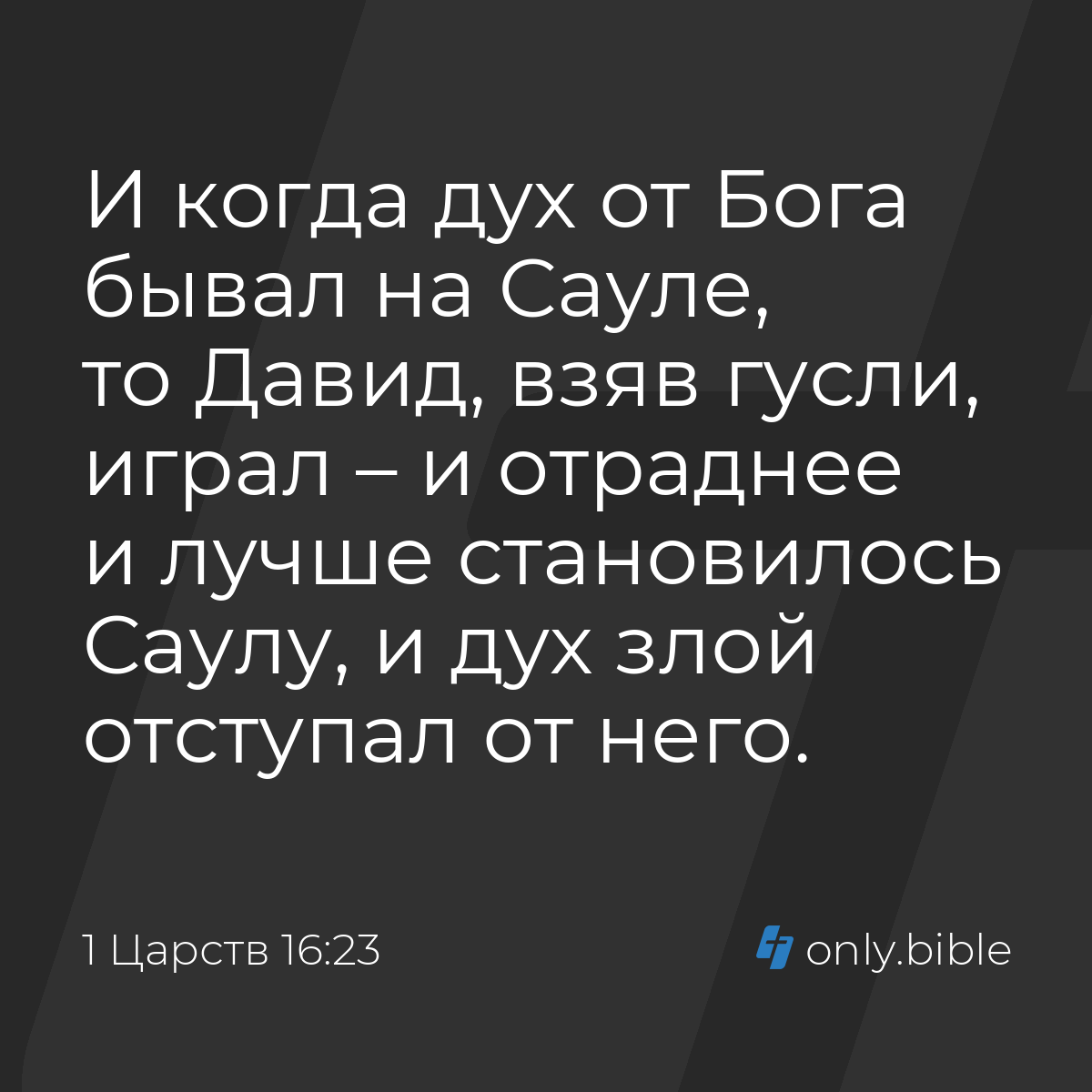 Трус киген есек