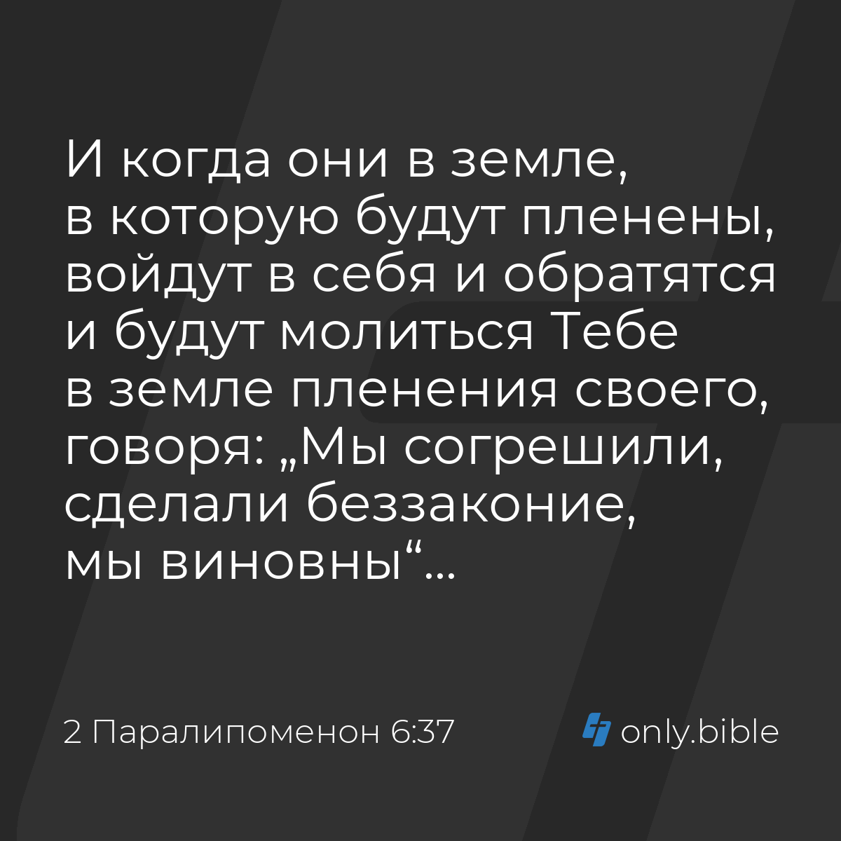 2 Паралипоменон 6:37 / Русский синодальный перевод (Юбилейное издание) |  Библия Онлайн