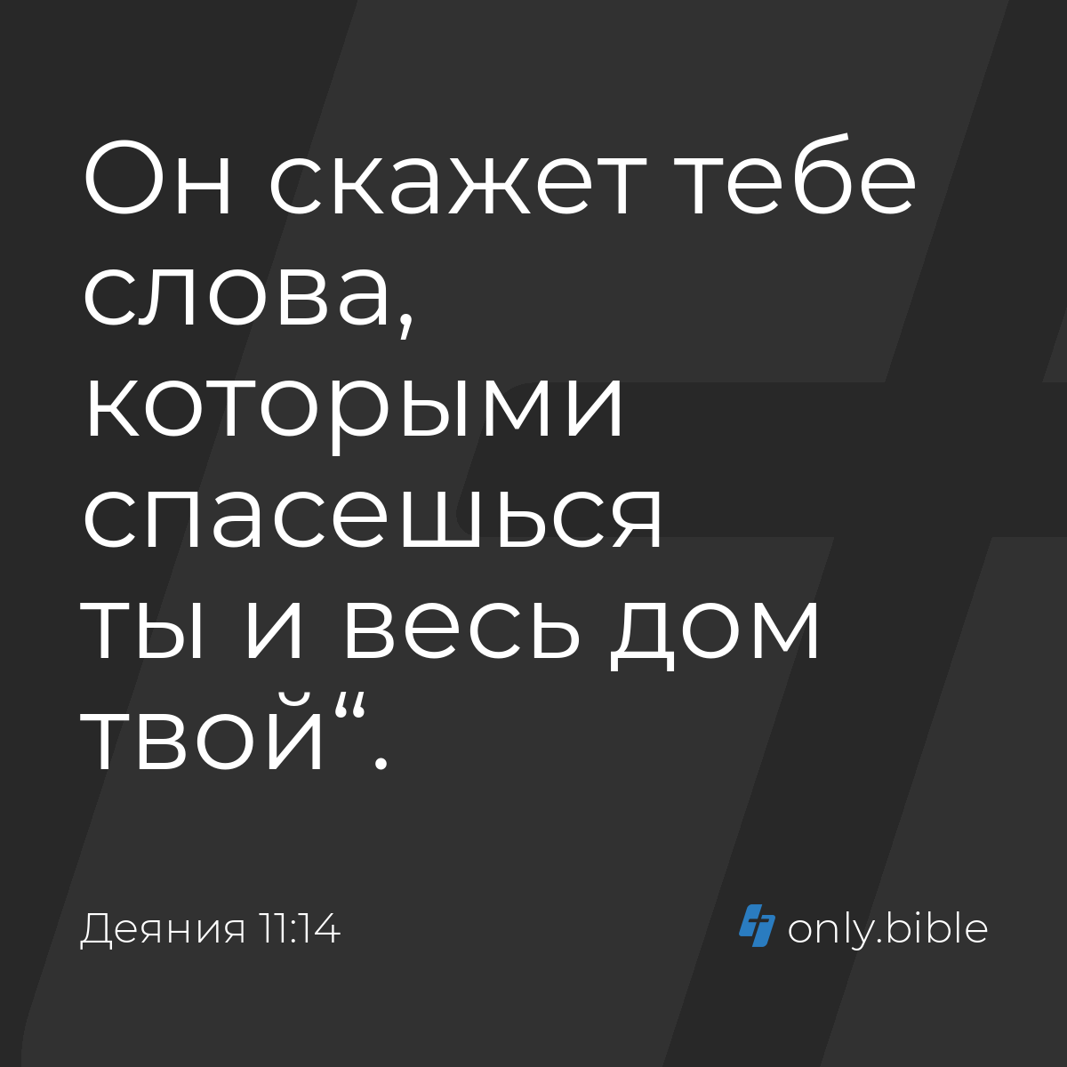 Деяния 11:14 / Русский синодальный перевод (Юбилейное издание) | Библия  Онлайн