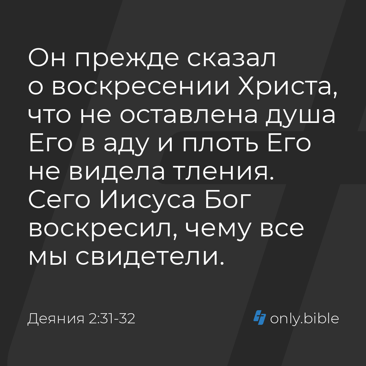 Деяния 2:31-32 / Русский синодальный перевод (Юбилейное издание) | Библия  Онлайн