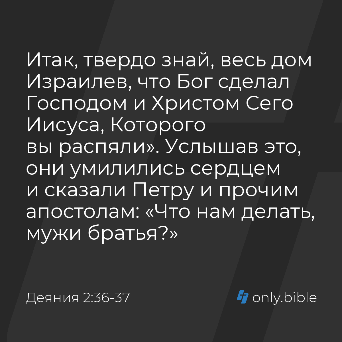 Деяния 2:36-37 / Русский синодальный перевод (Юбилейное издание) | Библия  Онлайн