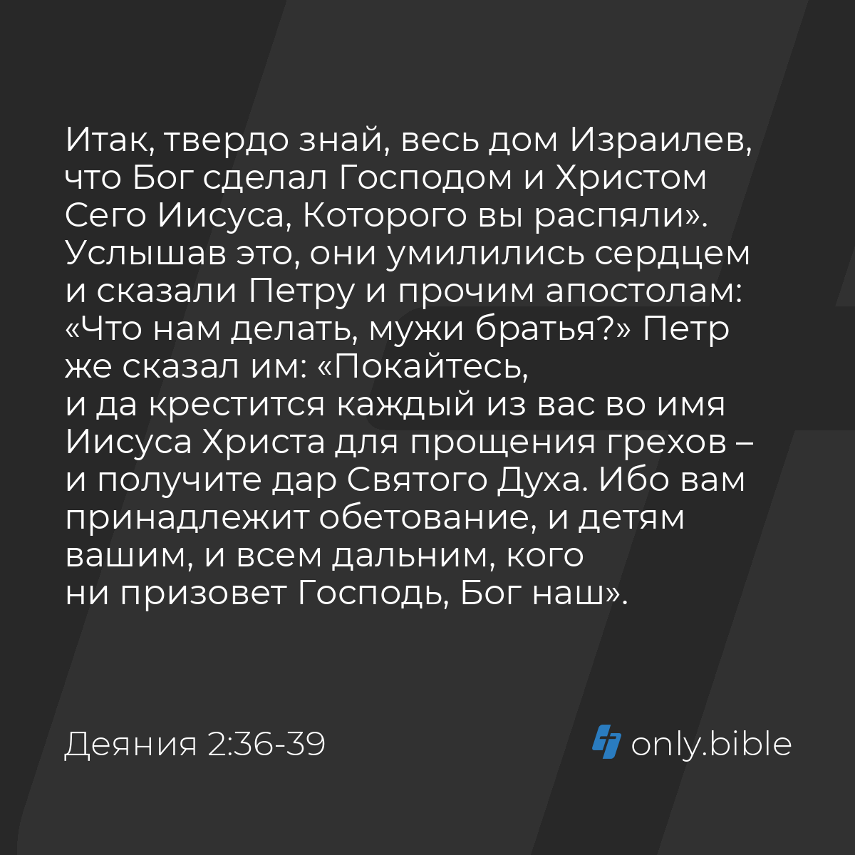 Деяния 2:36-41 / Русский синодальный перевод (Юбилейное издание) | Библия  Онлайн