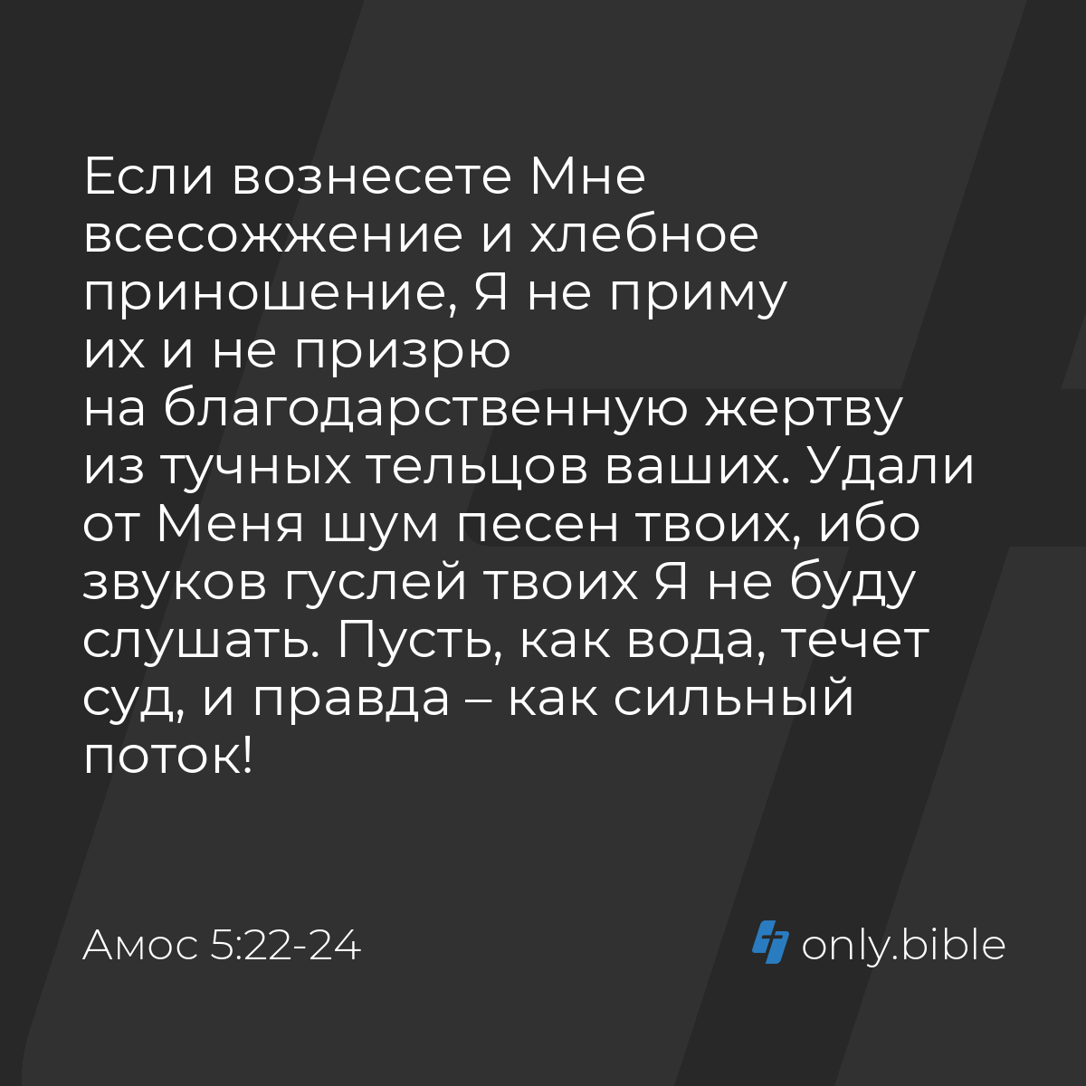 Амос 5:22-24 / Русский синодальный перевод (Юбилейное издание) | Библия  Онлайн