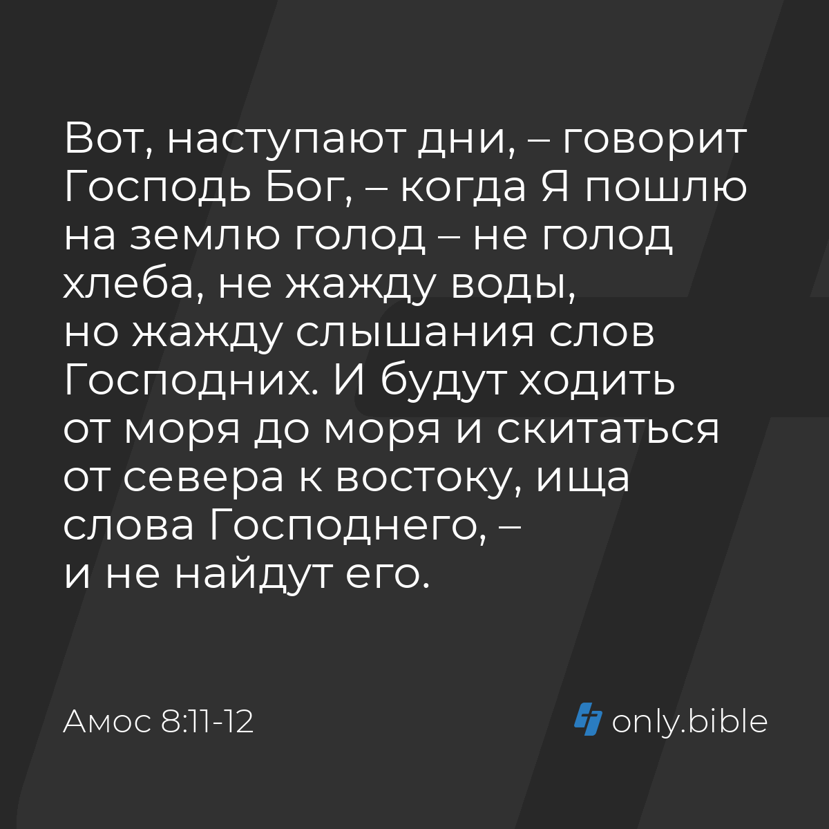 Амос 8:11-12 / Русский синодальный перевод (Юбилейное издание) | Библия  Онлайн