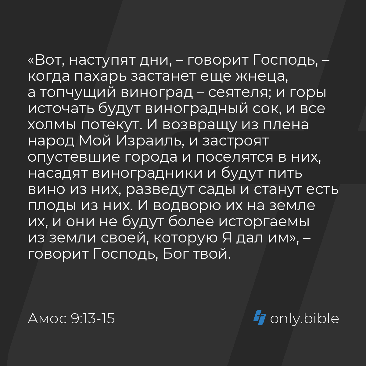 Амос 9:13-15 / Русский синодальный перевод (Юбилейное издание) | Библия  Онлайн