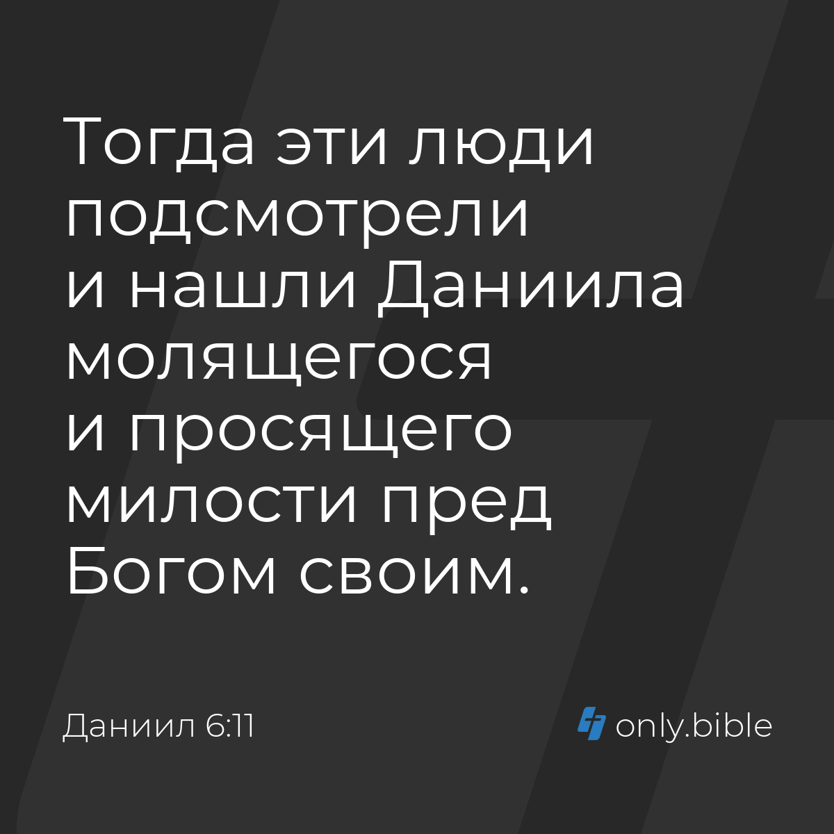 Даниил 6:11 / Русский синодальный перевод (Юбилейное издание) | Библия  Онлайн