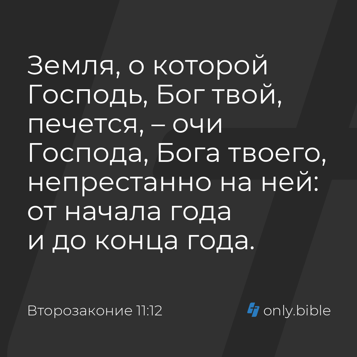 Второзаконие 11:12 / Русский синодальный перевод (Юбилейное издание) |  Библия Онлайн