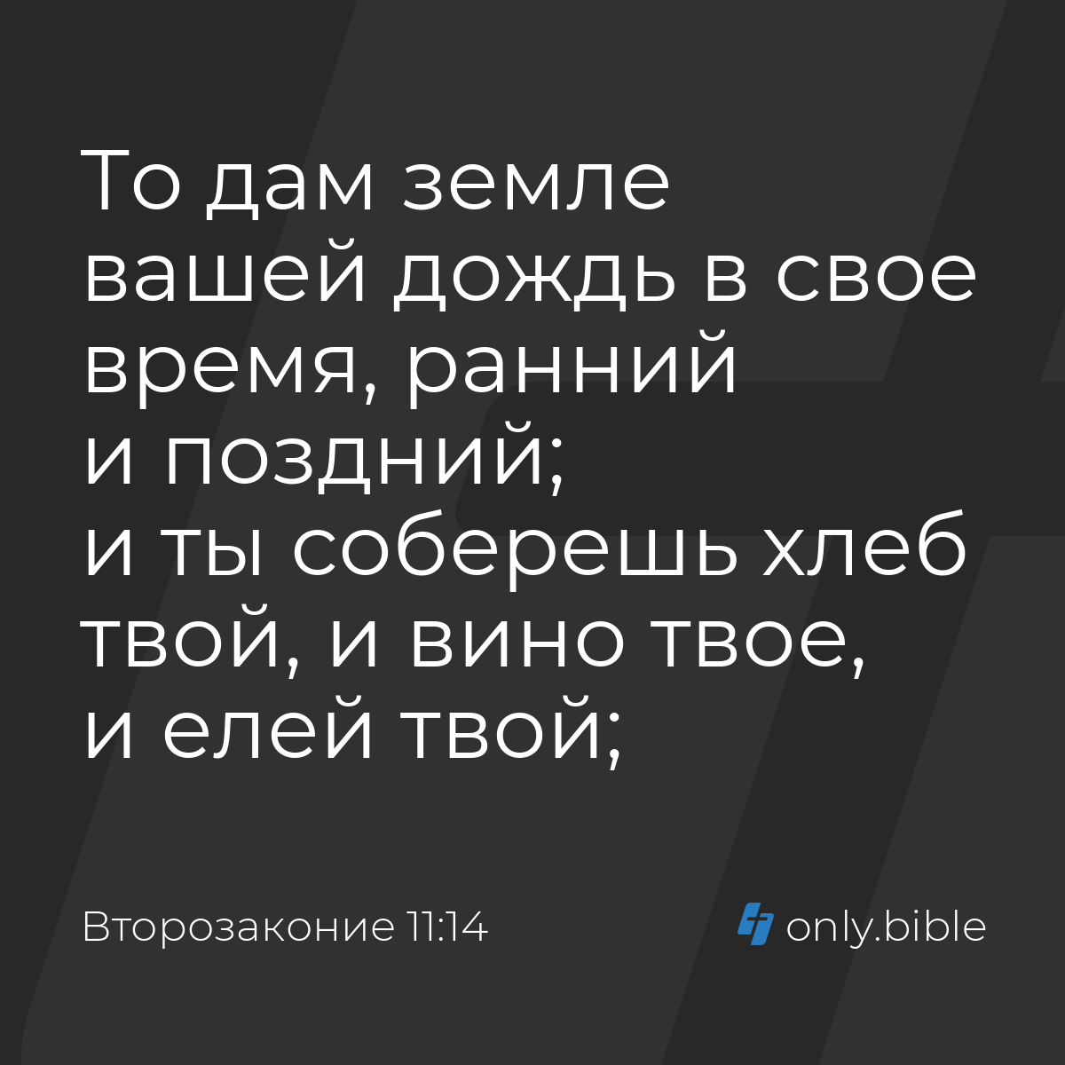 Второзаконие 11:14 / Русский синодальный перевод (Юбилейное издание) |  Библия Онлайн