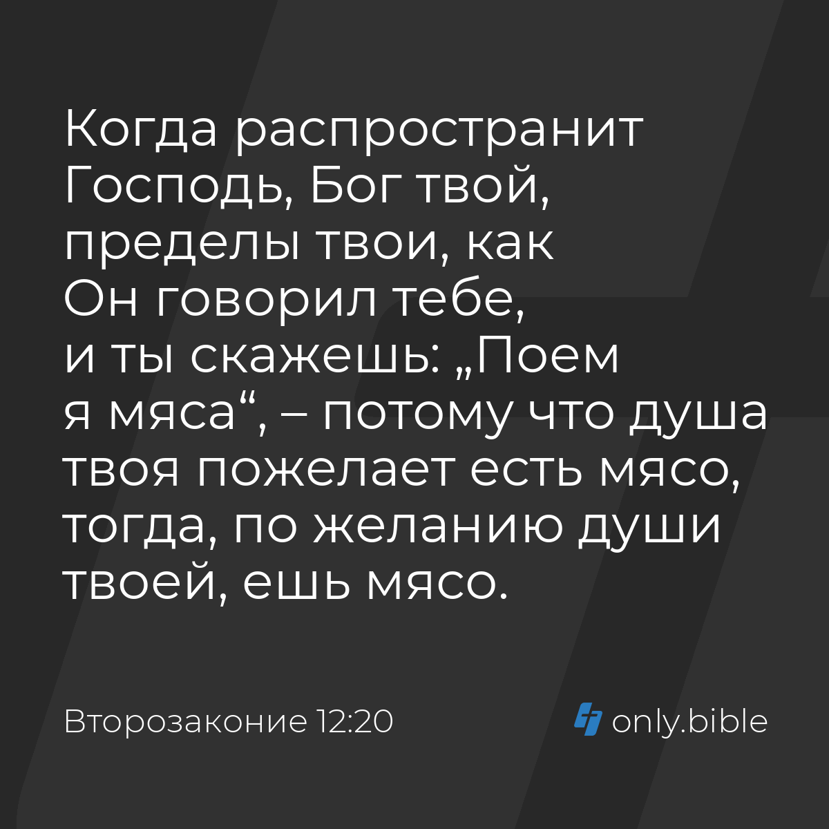 Второзаконие 12:20 / Русский синодальный перевод (Юбилейное издание) |  Библия Онлайн