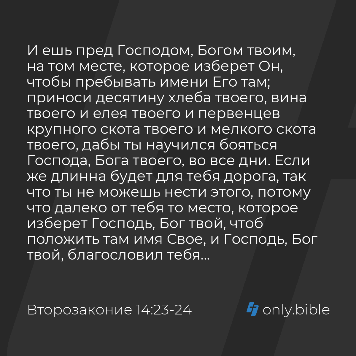 Второзаконие 14:23-25 / Русский синодальный перевод (Юбилейное издание) |  Библия Онлайн