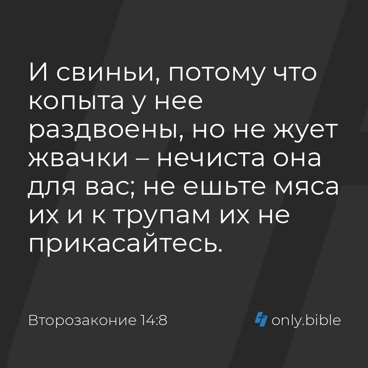 Второзаконие 14:8 / Русский синодальный перевод (Юбилейное издание) |  Библия Онлайн