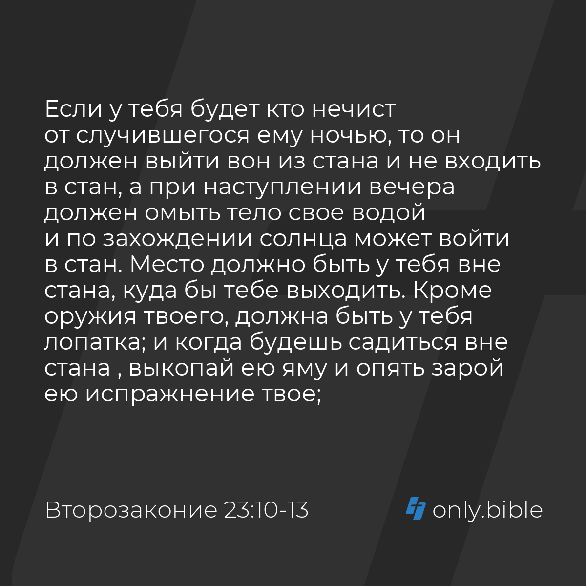 Второзаконие 23:10-14 / Русский синодальный перевод (Юбилейное издание) |  Библия Онлайн