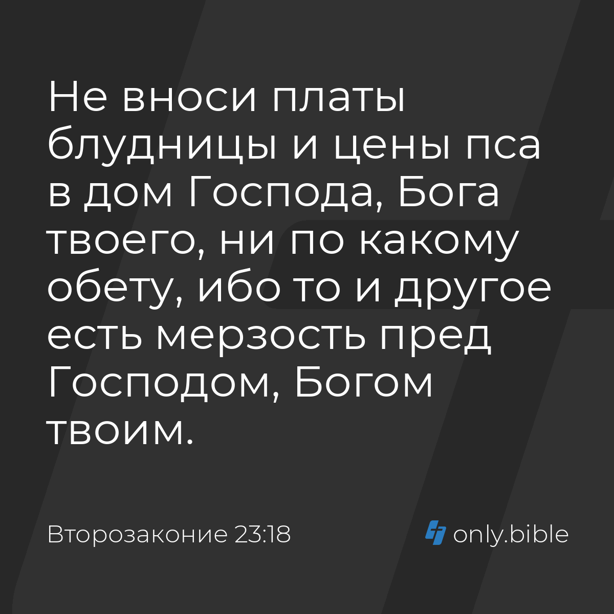 Второзаконие 23:18 / Русский синодальный перевод (Юбилейное издание) |  Библия Онлайн