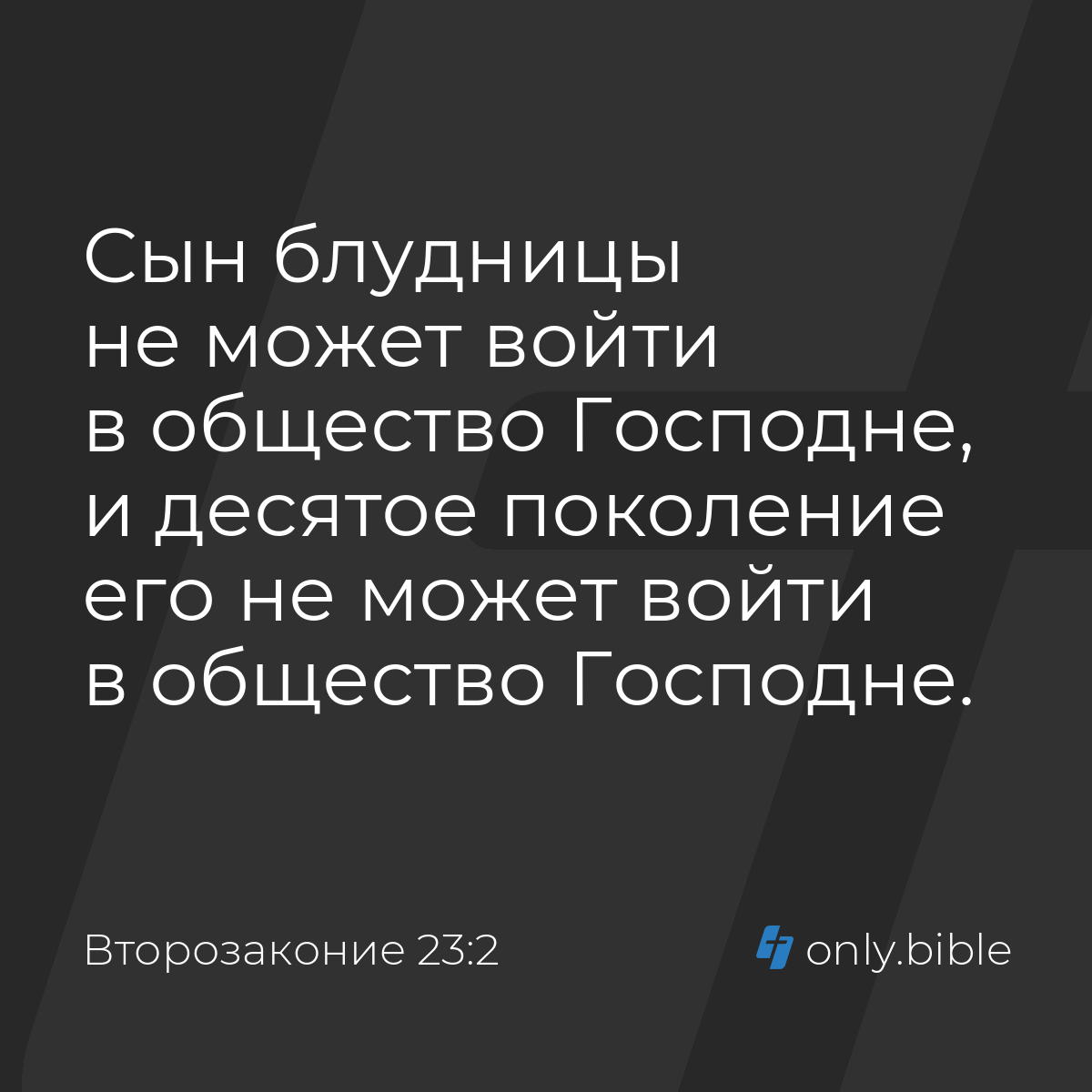 Второзаконие 23:2 / Русский синодальный перевод (Юбилейное издание) |  Библия Онлайн