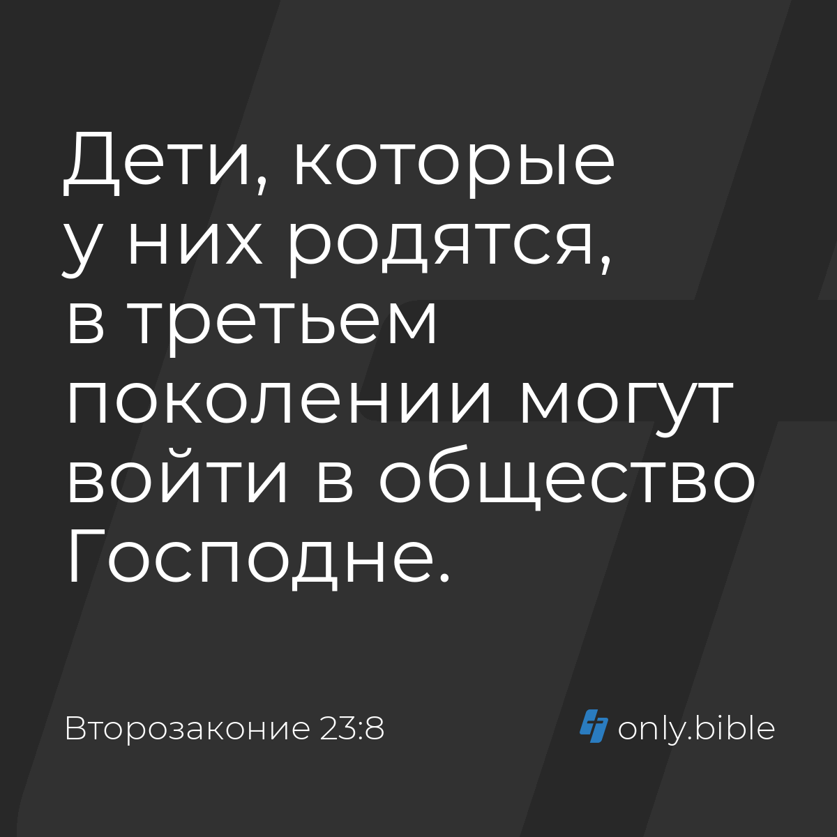 Второзаконие 23:8 / Русский синодальный перевод (Юбилейное издание) |  Библия Онлайн