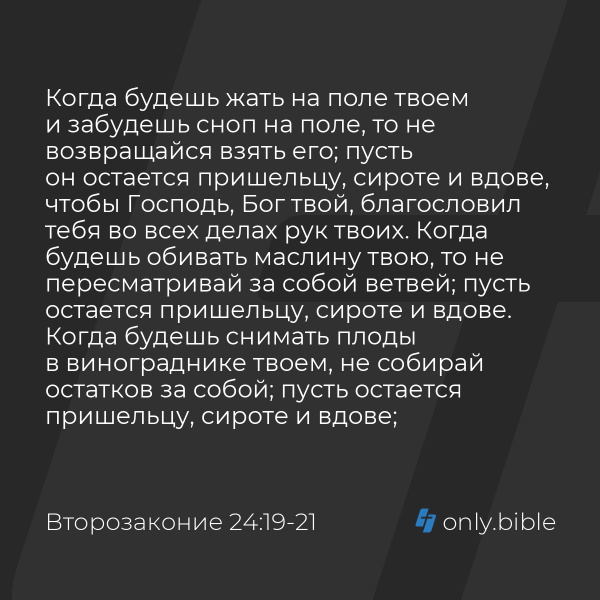 Второзаконие 24:19-22 / Русский синодальный перевод (Юбилейное издание) |  Библия Онлайн