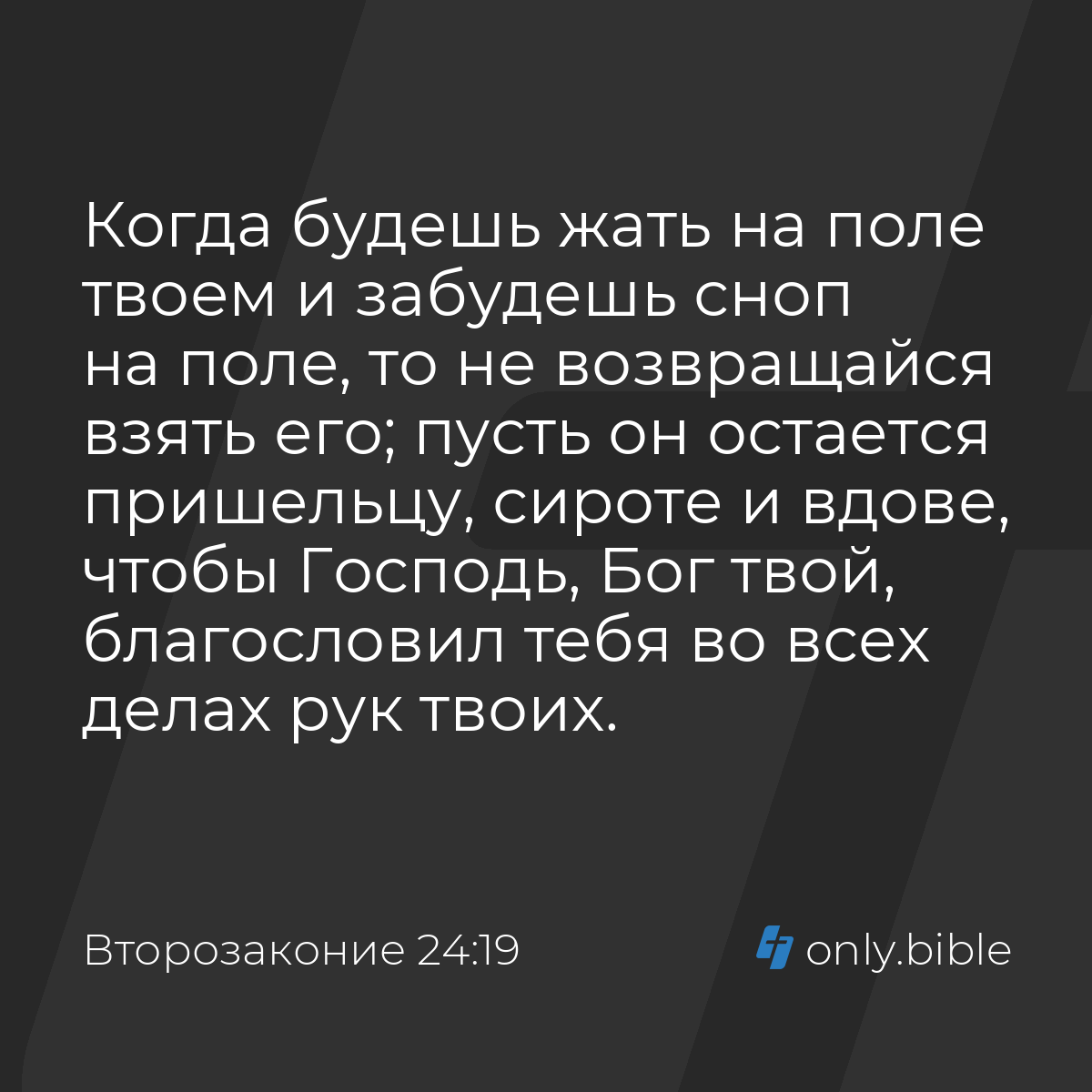 Второзаконие 24:19 / Русский синодальный перевод (Юбилейное издание) |  Библия Онлайн