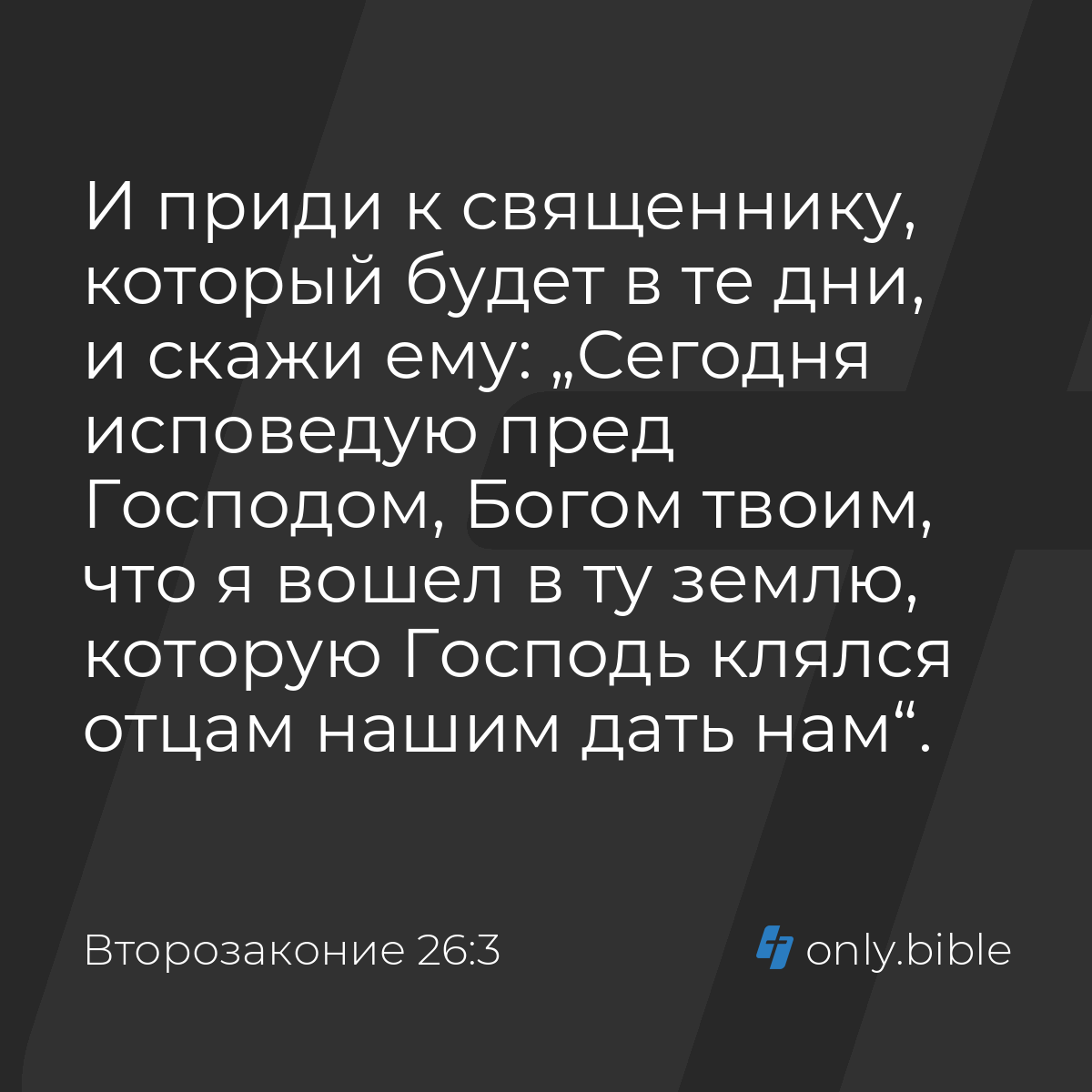 Второзаконие 26:3 / Русский синодальный перевод (Юбилейное издание) |  Библия Онлайн