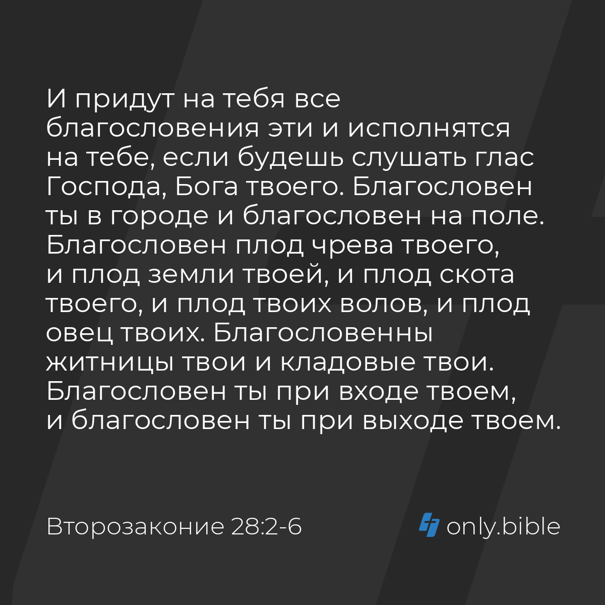 Второзаконие 28:2-8 / Русский синодальный перевод (Юбилейное издание) |  Библия Онлайн