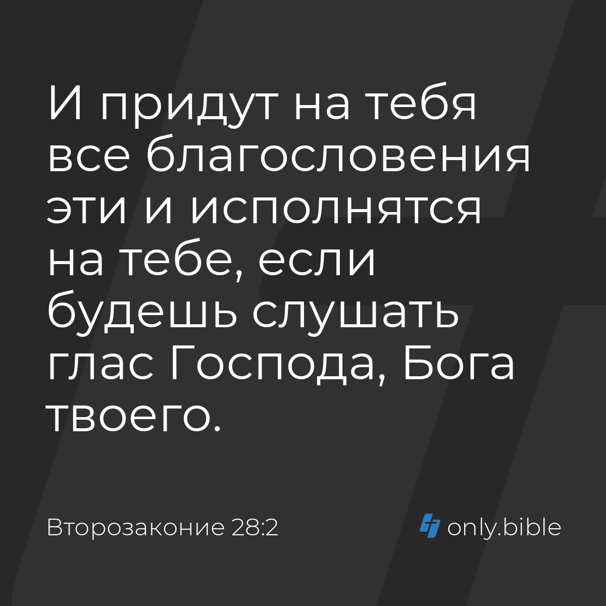 Второзаконие 28:2 / Русский синодальный перевод (Юбилейное издание) |  Библия Онлайн