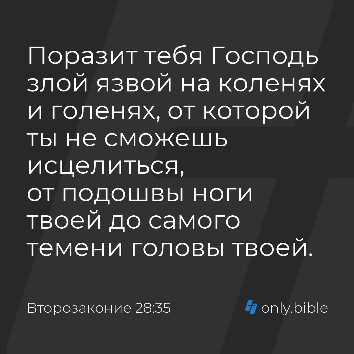 Второзаконие 28:35 / Русский синодальный перевод (Юбилейное издание) |  Библия Онлайн