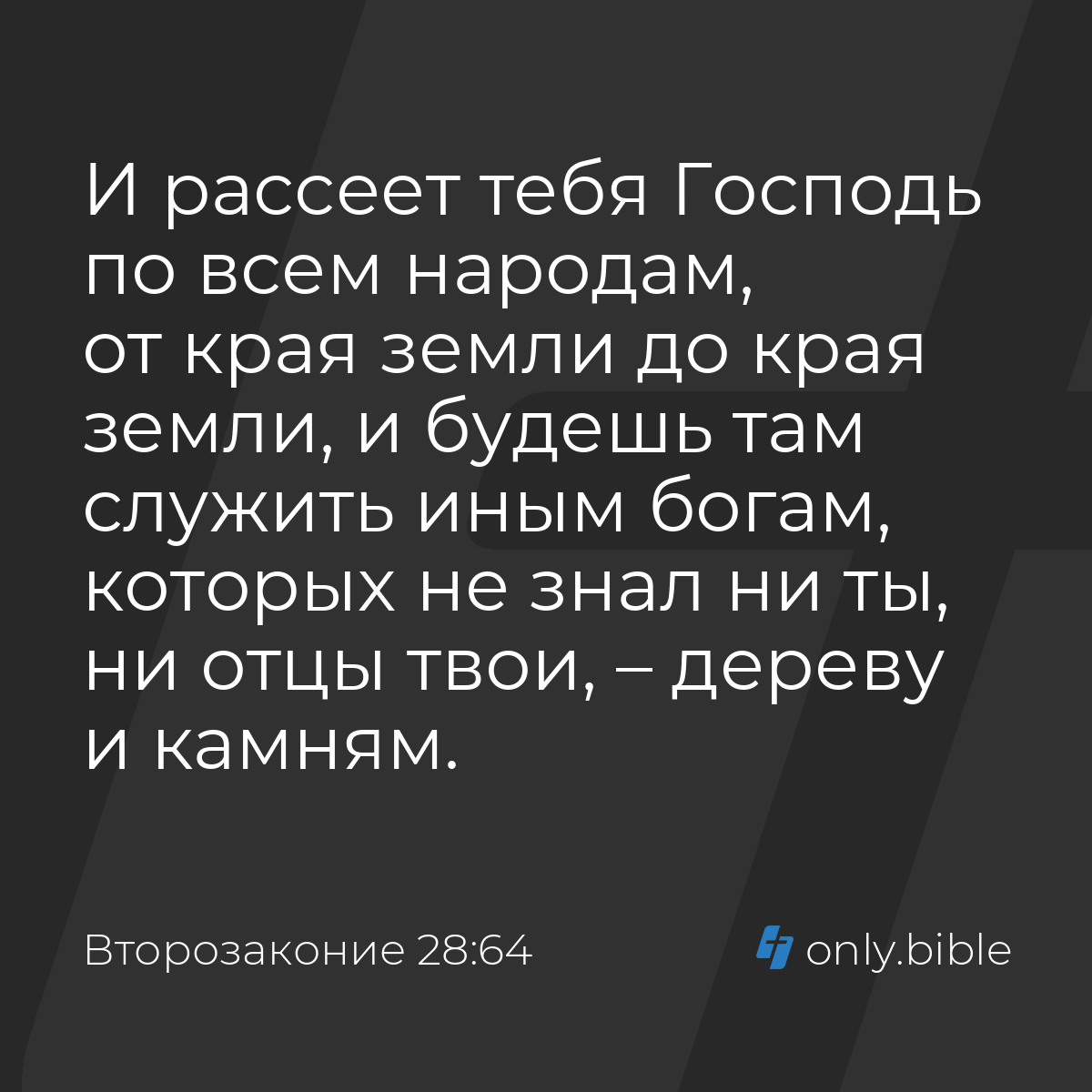 Второзаконие 28:64 / Русский синодальный перевод (Юбилейное издание) |  Библия Онлайн