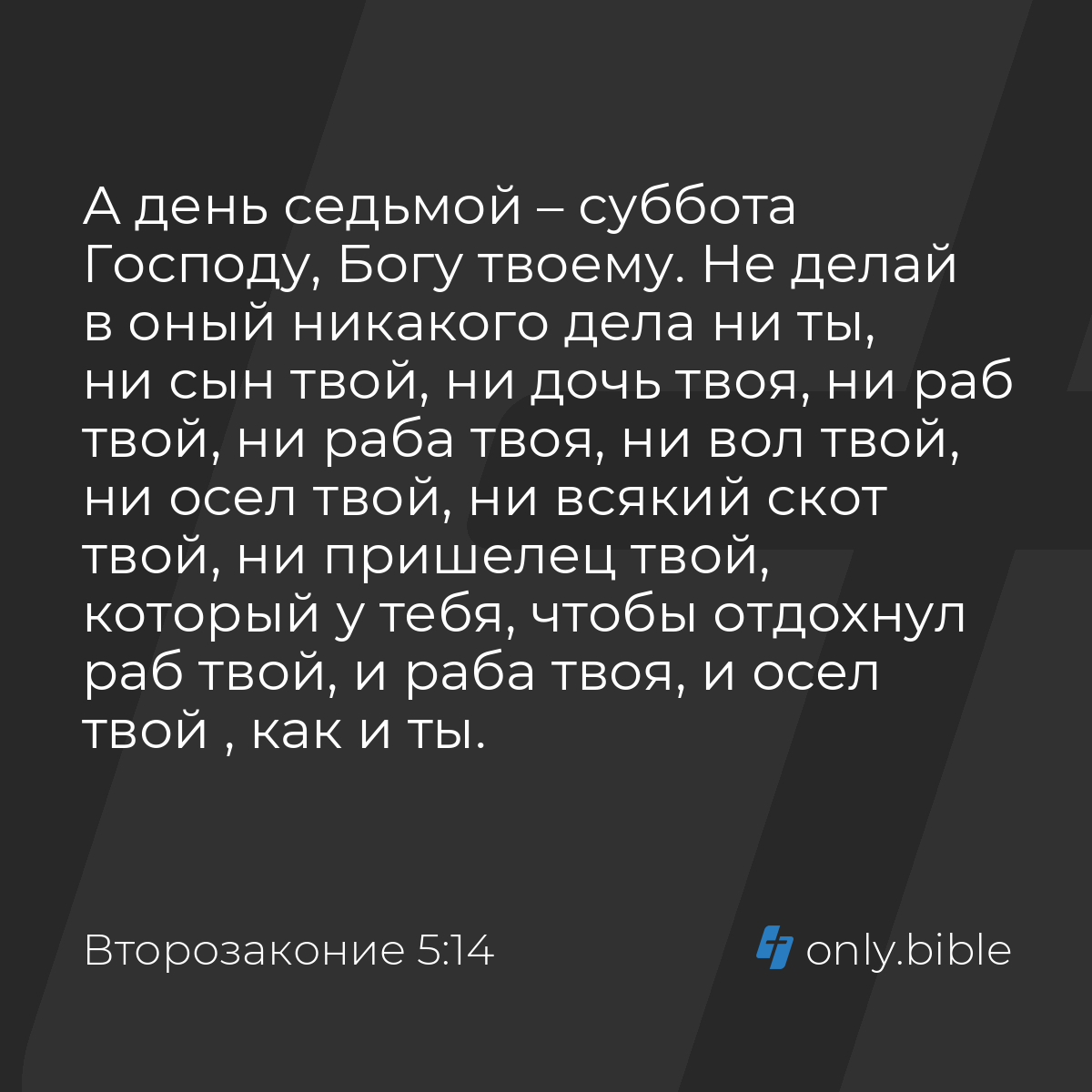 Второзаконие 5:14 / Русский синодальный перевод (Юбилейное издание) |  Библия Онлайн