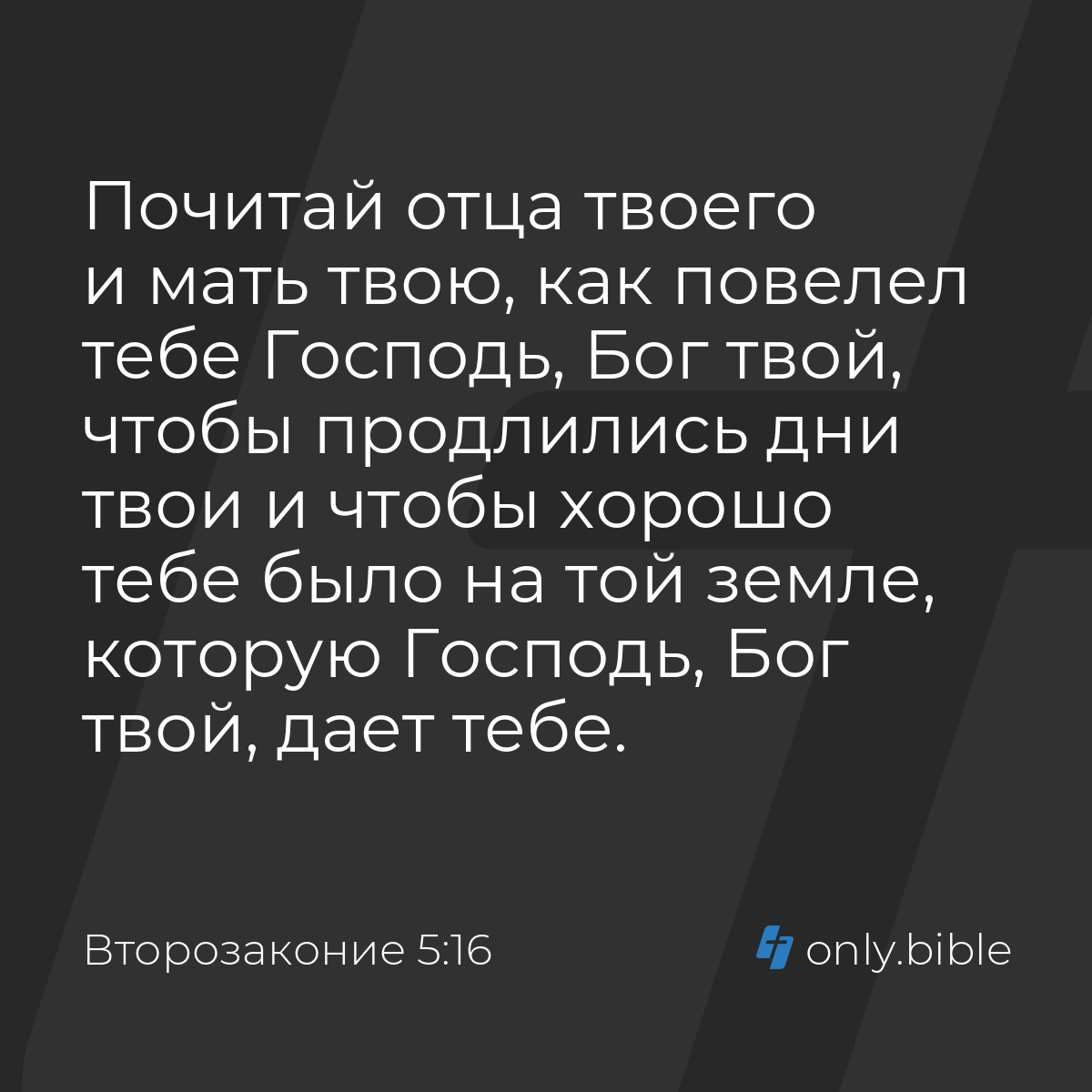 Второзаконие 5:16 / Русский синодальный перевод (Юбилейное издание) |  Библия Онлайн