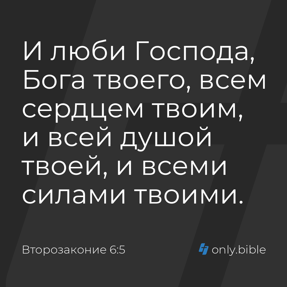 Второзаконие 6:5 / Русский синодальный перевод (Юбилейное издание) | Библия  Онлайн