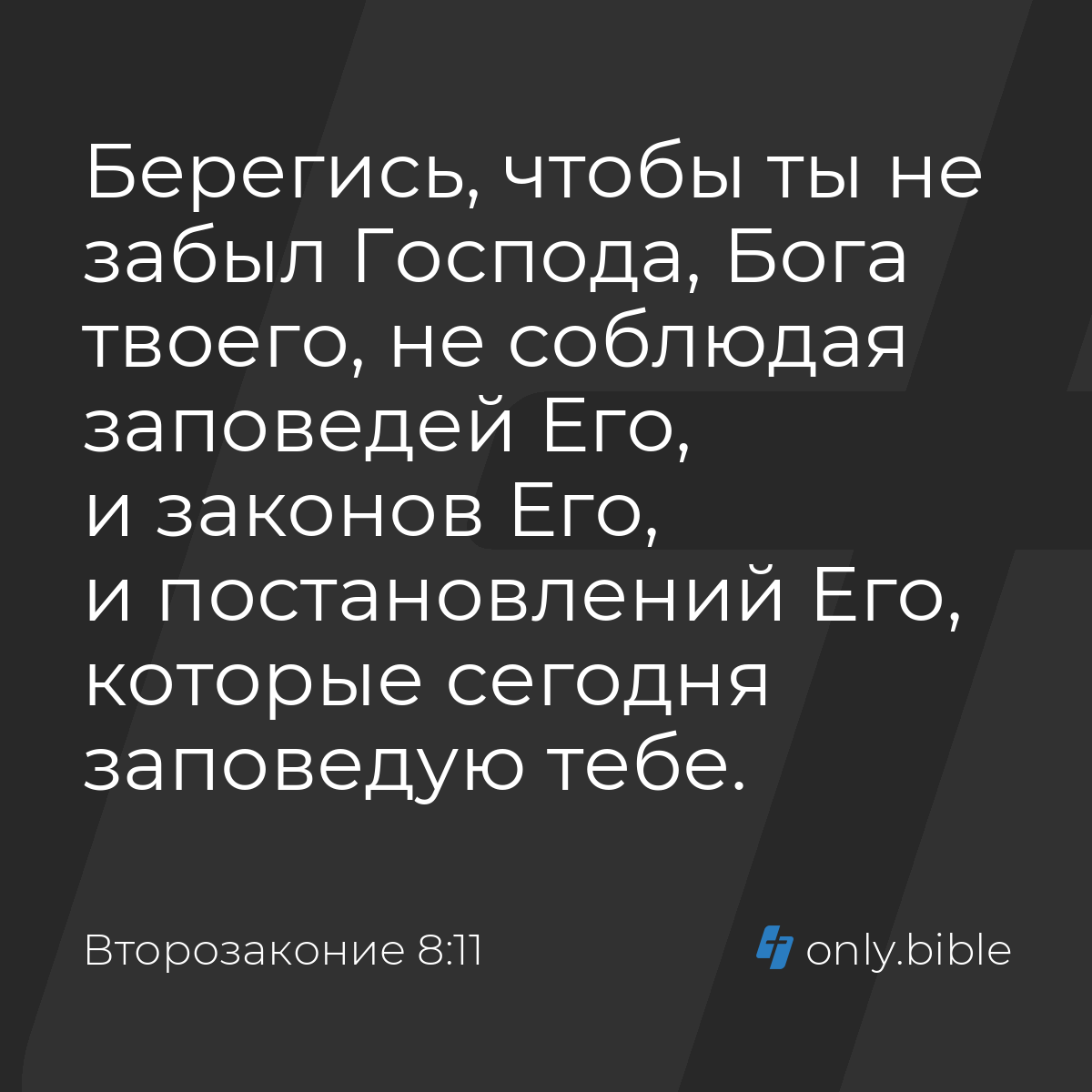 Второзаконие 8:11 / Русский синодальный перевод (Юбилейное издание) |  Библия Онлайн