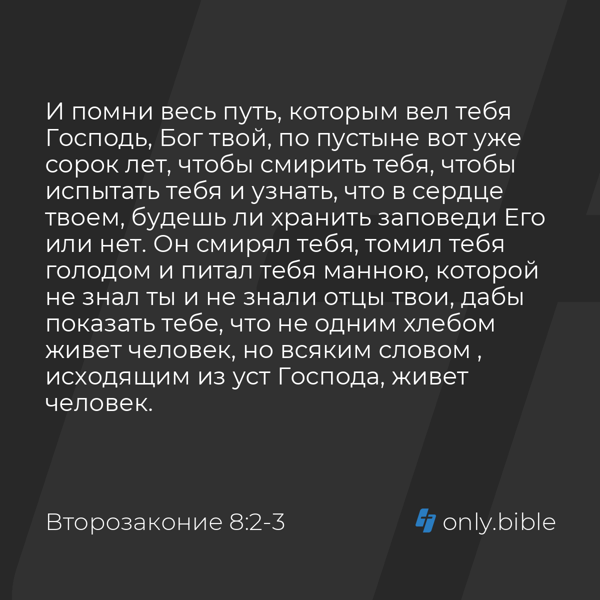 Второзаконие 8:2-3 / Русский синодальный перевод (Юбилейное издание) |  Библия Онлайн