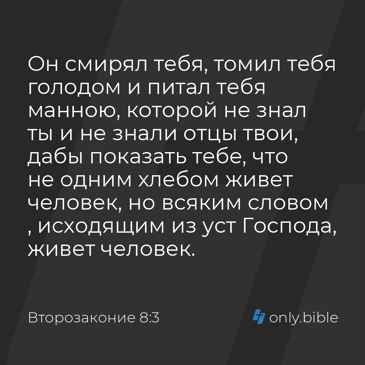 Второзаконие 8:3 / Русский синодальный перевод (Юбилейное издание) | Библия  Онлайн