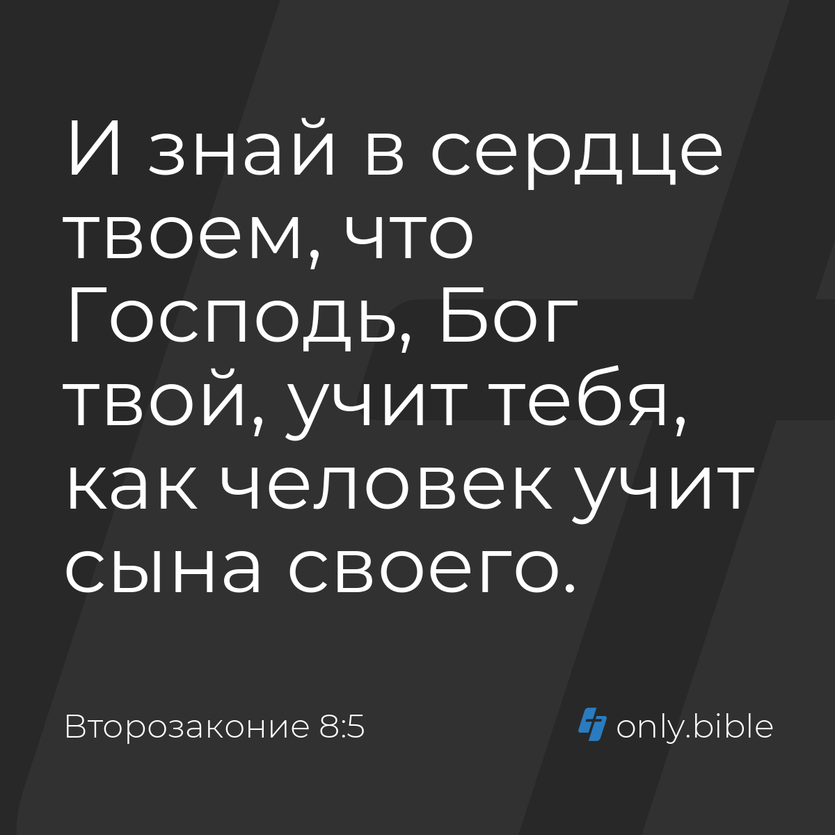 Второзаконие 8:5 / Русский синодальный перевод (Юбилейное издание) | Библия  Онлайн