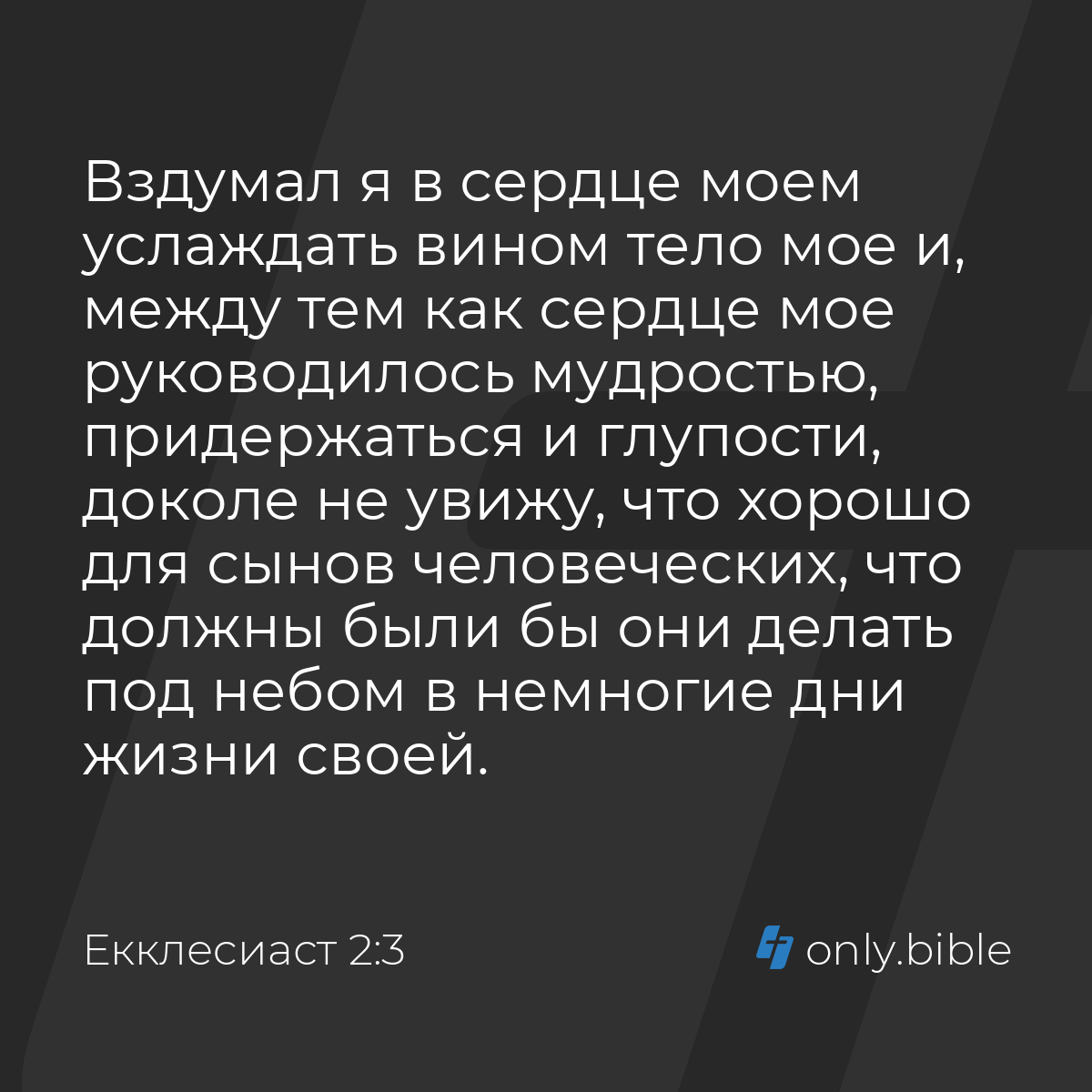 Екклеcиаст 2:3 / Русский синодальный перевод (Юбилейное издание) | Библия  Онлайн