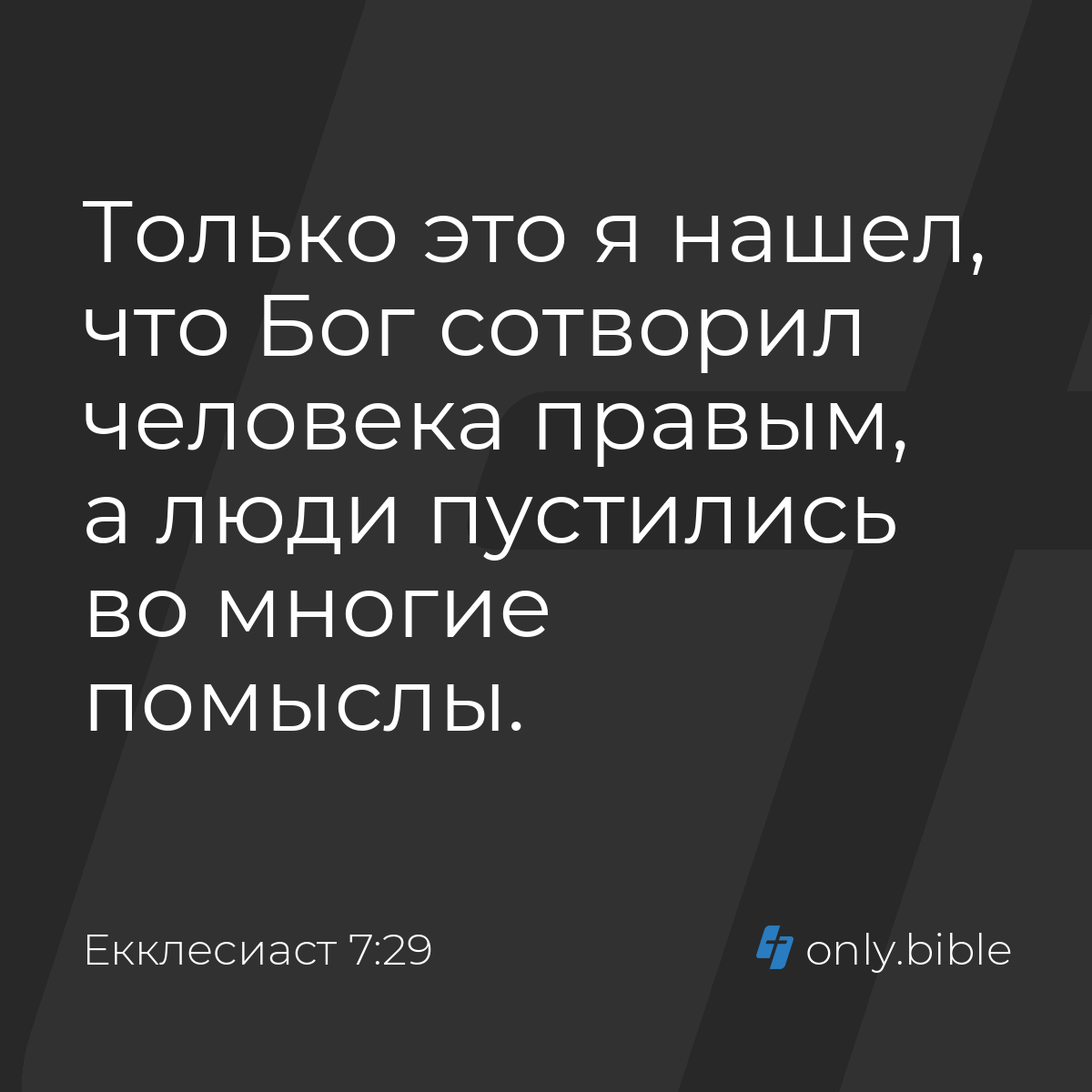 Екклеcиаст 7:29 / Русский синодальный перевод (Юбилейное издание) | Библия  Онлайн