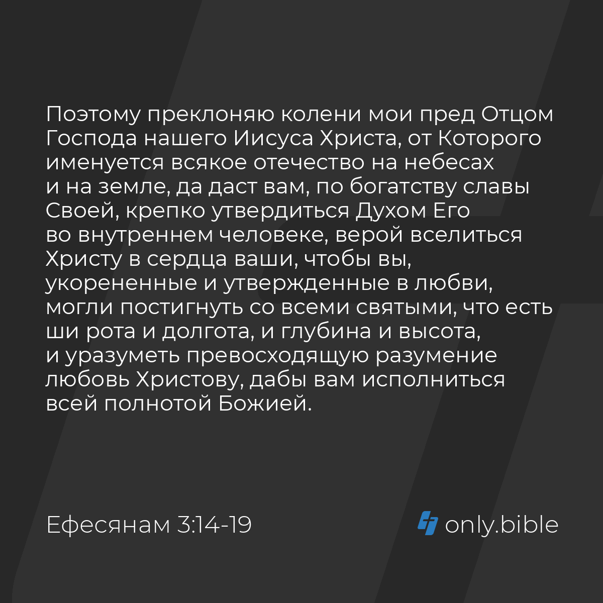 Ефесянам 3:14-21 / Русский синодальный перевод (Юбилейное издание) | Библия  Онлайн