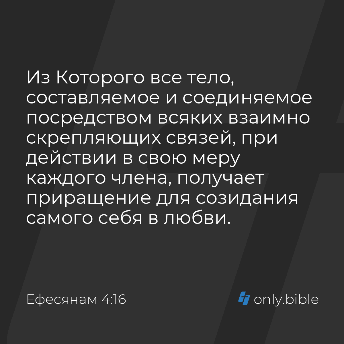 Ефесянам 4:16 / Русский синодальный перевод (Юбилейное издание) | Библия  Онлайн