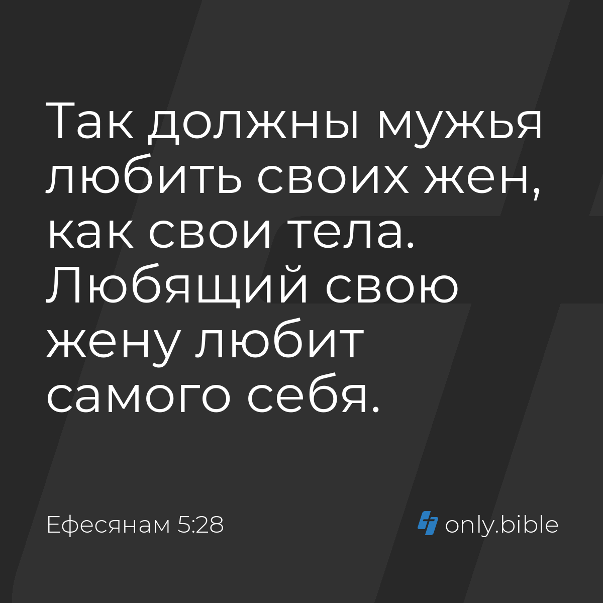 Ефесянам 5:28 / Русский синодальный перевод (Юбилейное издание) | Библия  Онлайн