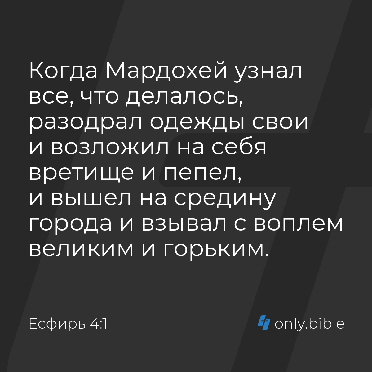 Есфирь 4:1 / Русский синодальный перевод (Юбилейное издание) | Библия Онлайн