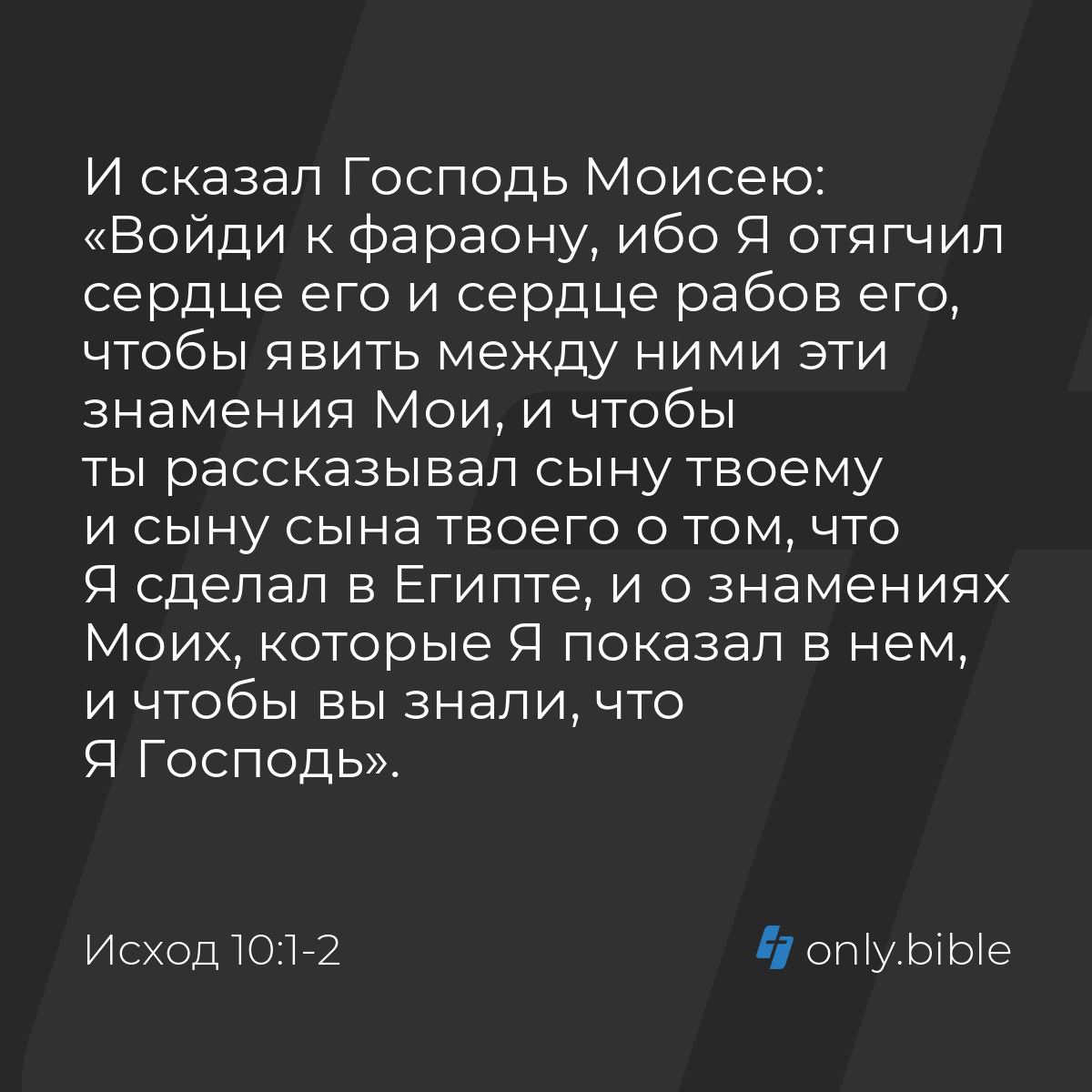 Исход 10:1-2 / Русский синодальный перевод (Юбилейное издание) | Библия  Онлайн