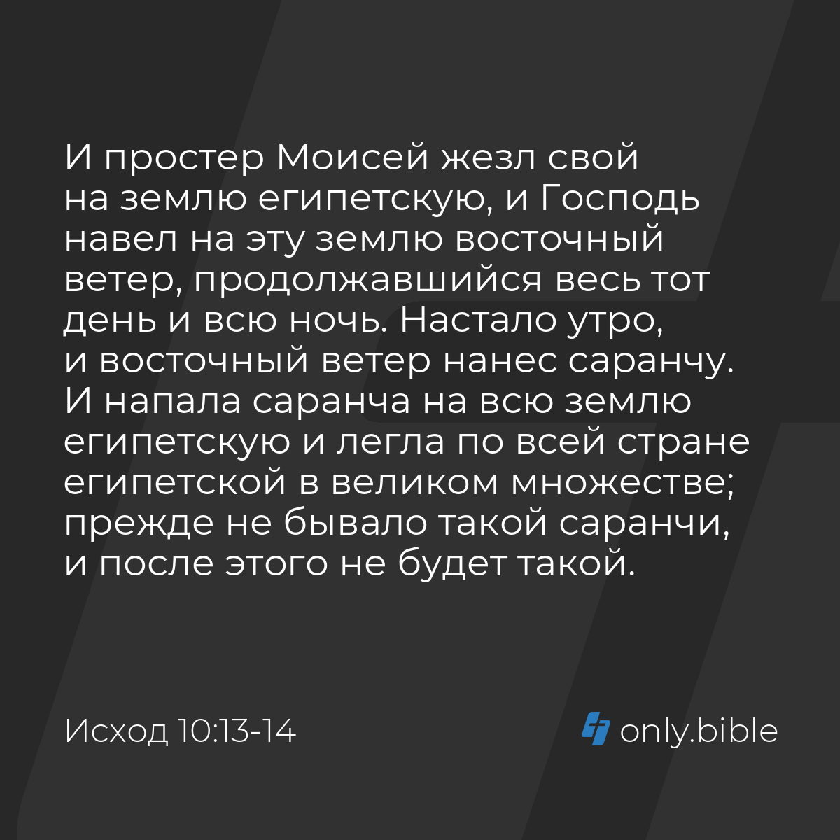 Исход 10:13-15 / Русский синодальный перевод (Юбилейное издание) | Библия  Онлайн